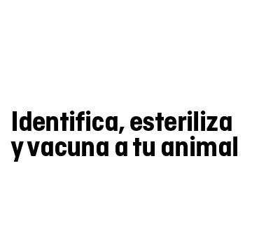 Sóc Responsable 